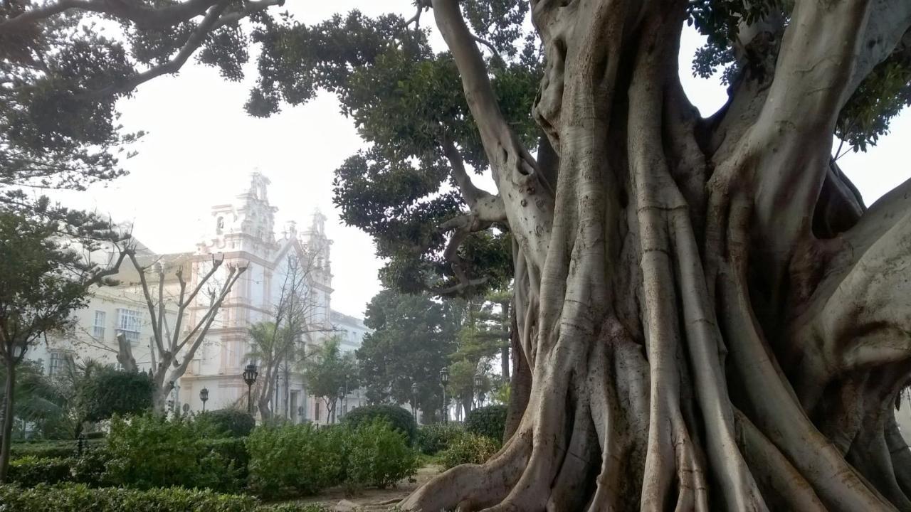 Apartamento "El Nido Del Cuco" Cádiz Buitenkant foto